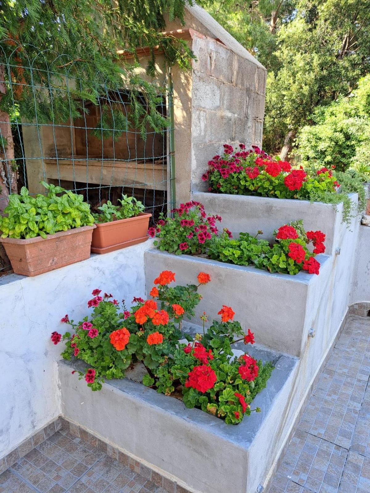 Apartamento Domus De Mare Cala Gonone Exterior foto